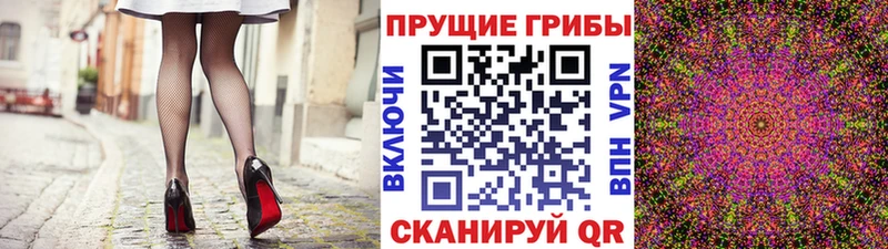 Купить где  Лермонтов  Псилоцибиновые грибы мухоморы 