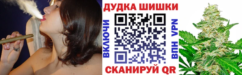 Купить закладки  Лермонтов  Бошки марихуана Amnesia 